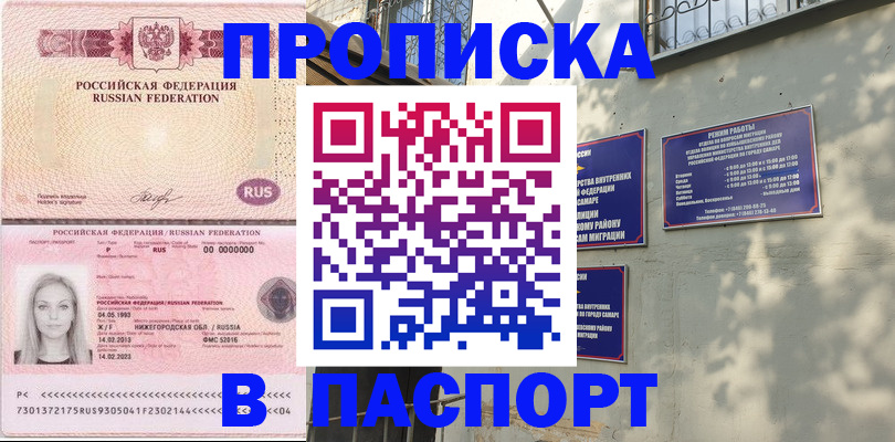 прописка в Звенигово
